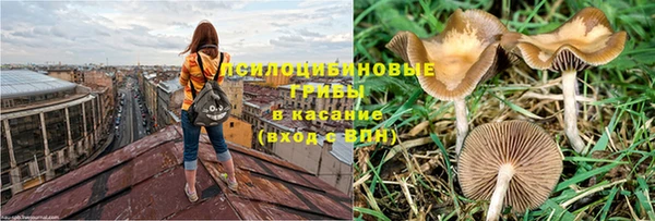 скорость mdpv Бородино
