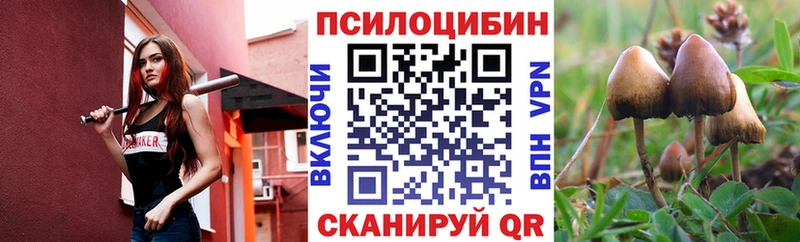 Галлюциногенные грибы Psilocybe  Купить  Армянск 